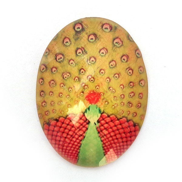 Cabochon Resin 40/30 Facetted Peacock Picture Inside - Red Yellow Feathers