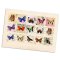 Printed Collage Sheet Butterfly 25mm Squares - 150gsm Coated Paper