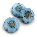 Czech Glass Beads Flower Hibiscus Hawaiian 12mm (6)  Sky Blue Silk with Gold Wash