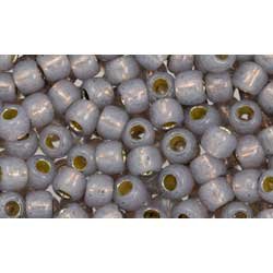 Japanese Toho Seed Beads Tube Round 6/0 PermaFinish - Translucent Silver-Lined Gray TR-06-PF2115