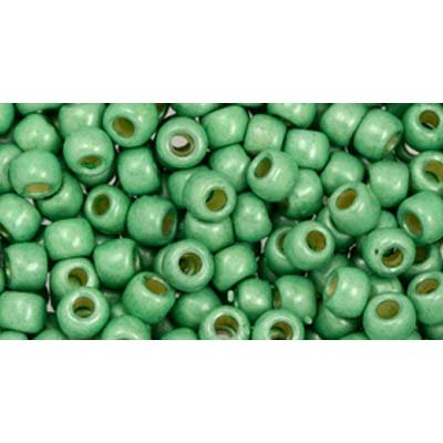 Japanese Toho Seed Beads Tube Round 6/0 PermaFinish - Galvanized Matte Mint Green TR-06-PF570F