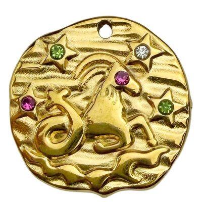 Stainless Steel Pendant Premium Collection Zodiac Amulet 18mm (1) Capricorn 304 18K Gold