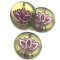 Czech Glass Beads Coin w/Lotus Flower 14mm (6) Green Transparent Matte w/ Pink Wash