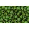 Japanese Toho Seed Beads Tube Round 6/0 HYBRID Opaque Mint Green - Picasso TR-06-Y321