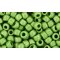 Japanese Toho Seed Beads Tube Round 6/0 HYBRID Sueded Gold Opaque Mint Green TR-06-Y624