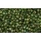 Japanese Toho Seed Beads Tube Round 11/0 HYBRID Transparent Frosted Peridot - Picasso TR-11-Y318F