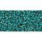 Japanese Toho Seed Beads Tube Round 15/0 Inside-Color Crystal/Prairie Green-Lined TR-15-270