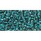 Japanese Toho Seed Beads Tube Round 11/0 Inside-Color Crystal/Prairie Green-Lined TR-11-270