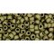 Japanese Toho Seed Beads Tube Round 8/0 Matte-Color Dk Olive TR-08-617