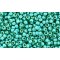 Japanese Toho Seed Beads Tube Round 11/0 PermaFinish - Frosted Galvanized Turquoise TR-11-PF578F
