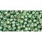 Japanese Toho Seed Beads Tube Round 11/0 PermaFinish - Galvanized Mint Green TR-11-PF570