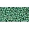 Japanese Toho Seed Beads Tube Round 11/0 PermaFinish - Matte Galvanized Jade Green TR-11-PF589F