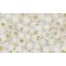 Japanese Toho Seed Beads Tube Round 6/0 PermaFinish - Translucent Silver-Lined White TR-06-PF2100