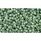 Japanese Toho Seed Beads Tube Round 11/0 Permafinish - Galvanized Jade Green TR-11-PF589