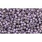 Japanese Toho Seed Beads Tube Round 11/0 Permafinish - Galvanized Pale Lilac TR-11-PF579