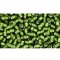 Japanese Toho Seed Beads Tube Round 11/0 Silver-Lined Frosted Olive TR-11-37F