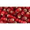 Japanese Toho Seed Beads Tube Round 6/0 Silver-Lined Frosted Ruby TR-06-25CF