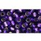 Japanese Toho Seed Beads Tube Round 6/0 Silver-Lined Purple TR-06-2224
