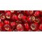 Japanese Toho Seed Beads Tube Round 3/0 Silver-Lined Ruby TR-03-25C