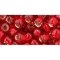 Japanese Toho Seed Beads Tube Round 3/0 Silver-Lined Siam Ruby TR-03-25B