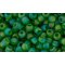Japanese Toho Seed Beads Tube Round 11/0 Transparent-Rainbow Frosted Grass Green TR-11-167BF