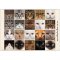 Printed Collage Sheet Cat Faces 25mm - 150gsm Coated Paper