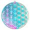 Stainless Steel 201 Charm Thin Flower of Life Round 37x35mm (2) Multi-color