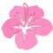 Cast Metal Charm Flower Hibiscus 21x19mm Thin (10) Pink