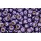 Japanese Toho Seed Beads Tube Round 6/0 PermaFinish - Metallic Polaris TR-06-PF567