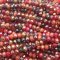 Imperial Crystal Bead Rondelle 4x6mm (95) Electroplated Mix Red