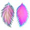 Stainless Steel 201 Charm Thin Feather Etched Large Style 03 54x27mm (2) Multi-color