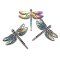 Cast Metal Pendant Dragonfly 65x70mm (1) Rainbow AB